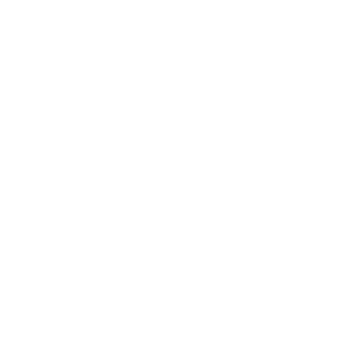 Тыныс жолына бөгде зат түсу